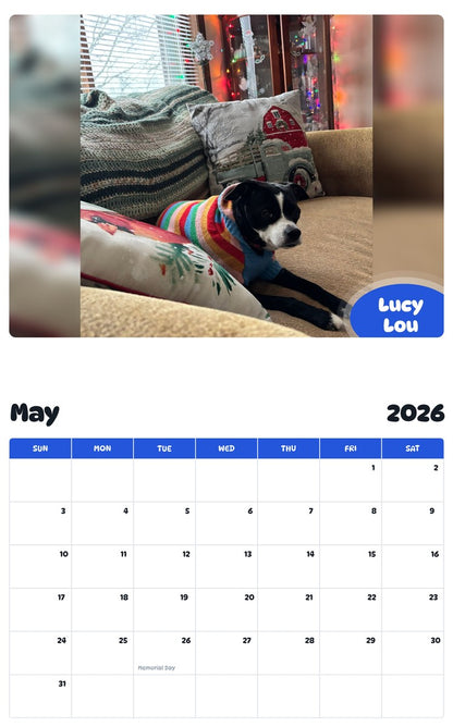 2026 - 2027 Lucy Lou - Pawidols Pet Calendar