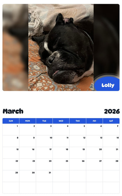 November 2025 - October 2026 Lolly - Pawidols Pet Calendar