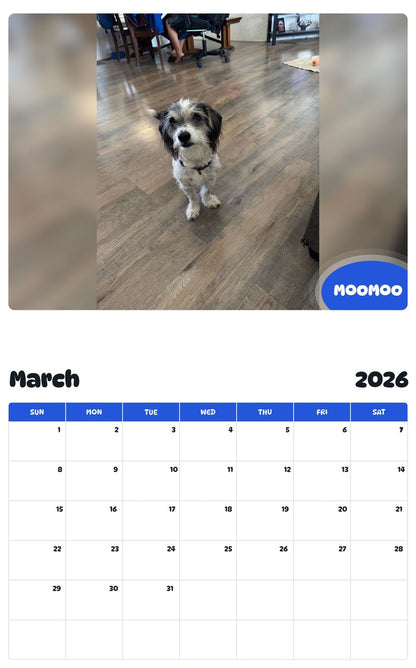 November 2025 - October 2026 MOOMOO - Pawidols Pet Calendar