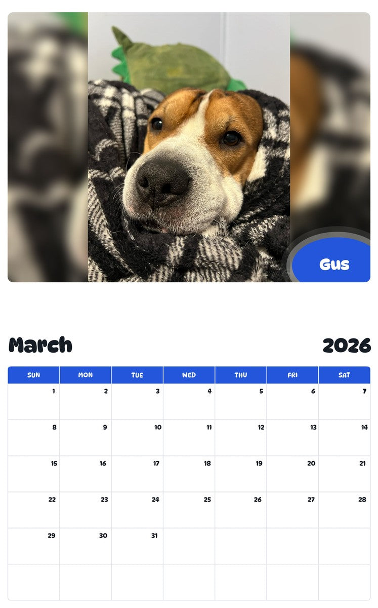 November 2025 - October 2026 Gus - Pawidols Pet Calendar