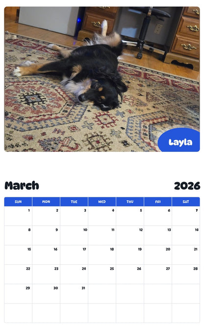 November 2025 - October 2026 Layla - Pawidols Pet Calendar