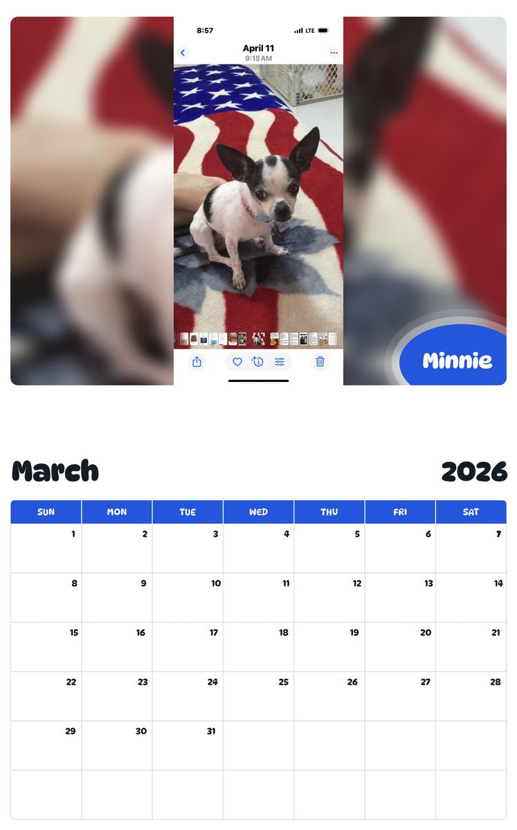 November 2025 - October 2026 Minnie - Pawidols Pet Calendar