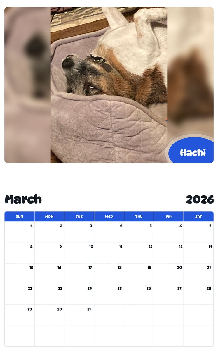 November 2025 - October 2026 Hachi - Pawidols Pet Calendar