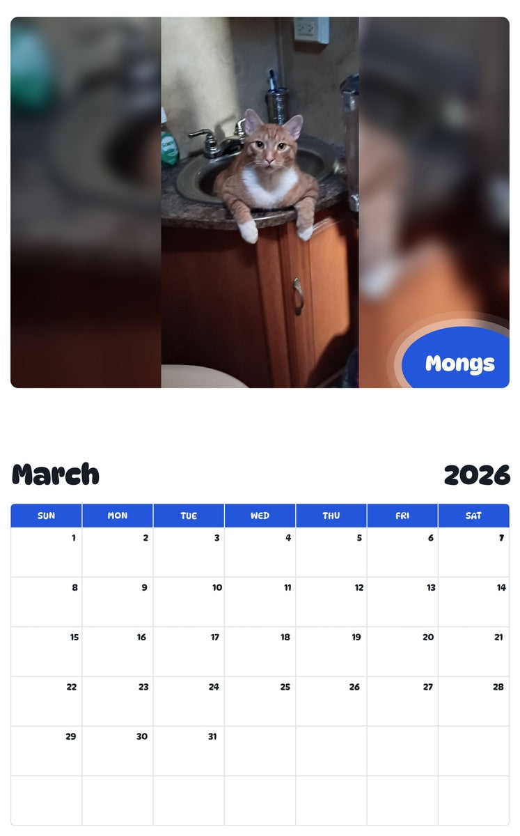 November 2025 - October 2026 Mongs - Pawidols Pet Calendar