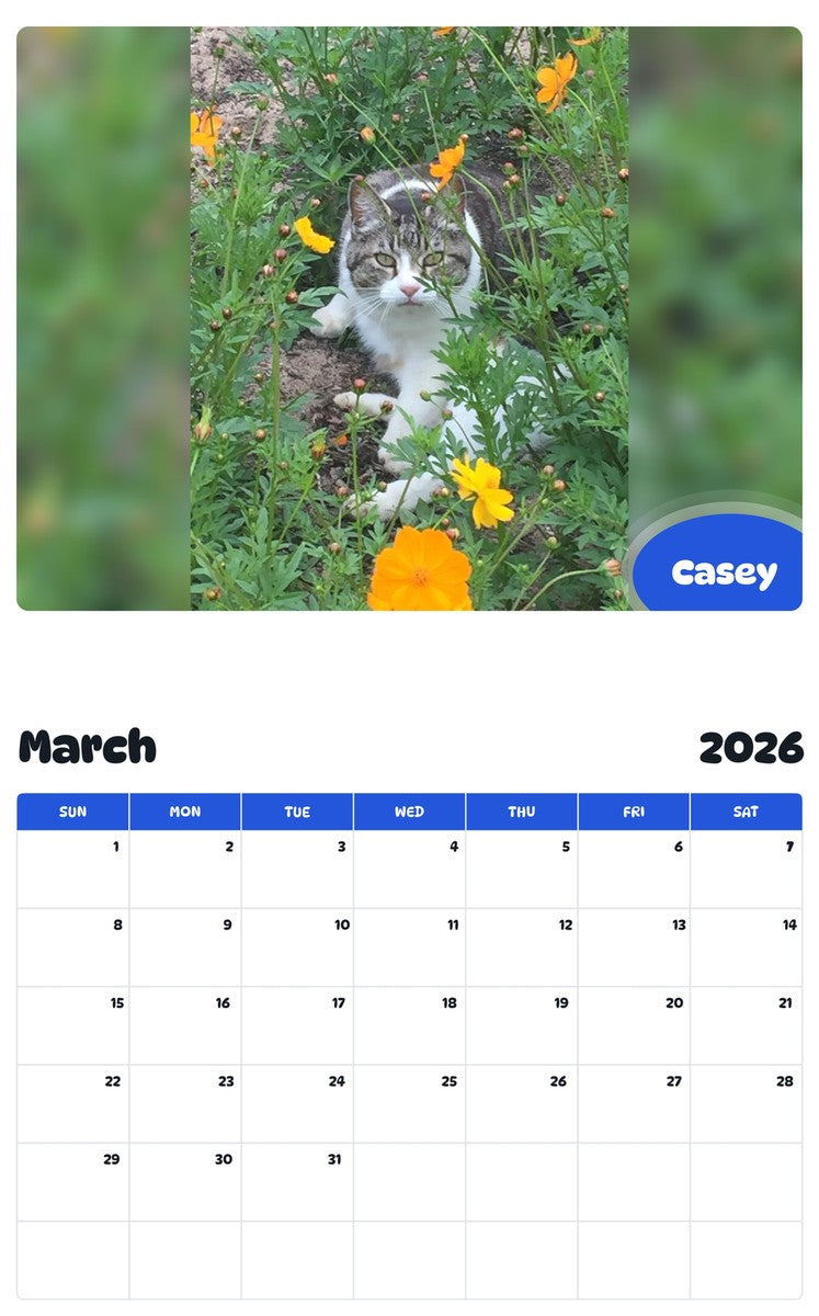 November 2025 - October 2026 Casey - Pawidols Pet Calendar