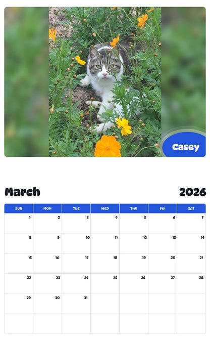 November 2025 - October 2026 Casey - Pawidols Pet Calendar