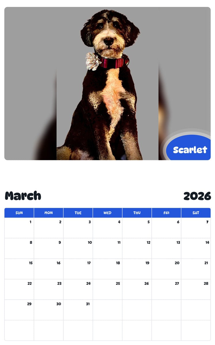November 2025 - October 2026 Scarlet - Pawidols Pet Calendar