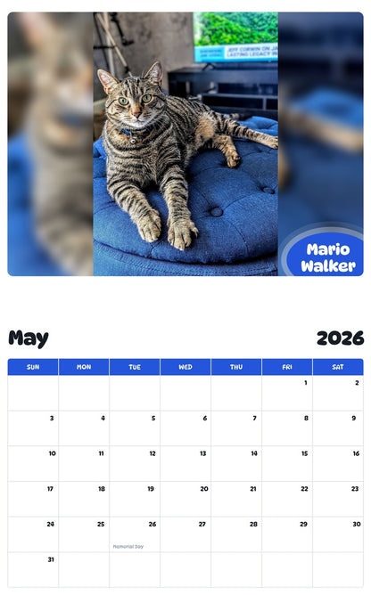 2026 - 2027 Mario Walker - Pawidols Pet Calendar