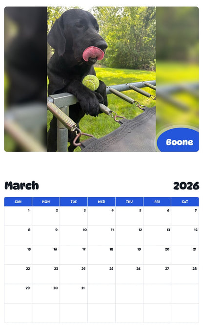 November 2025 - October 2026 Boone - Pawidols Pet Calendar