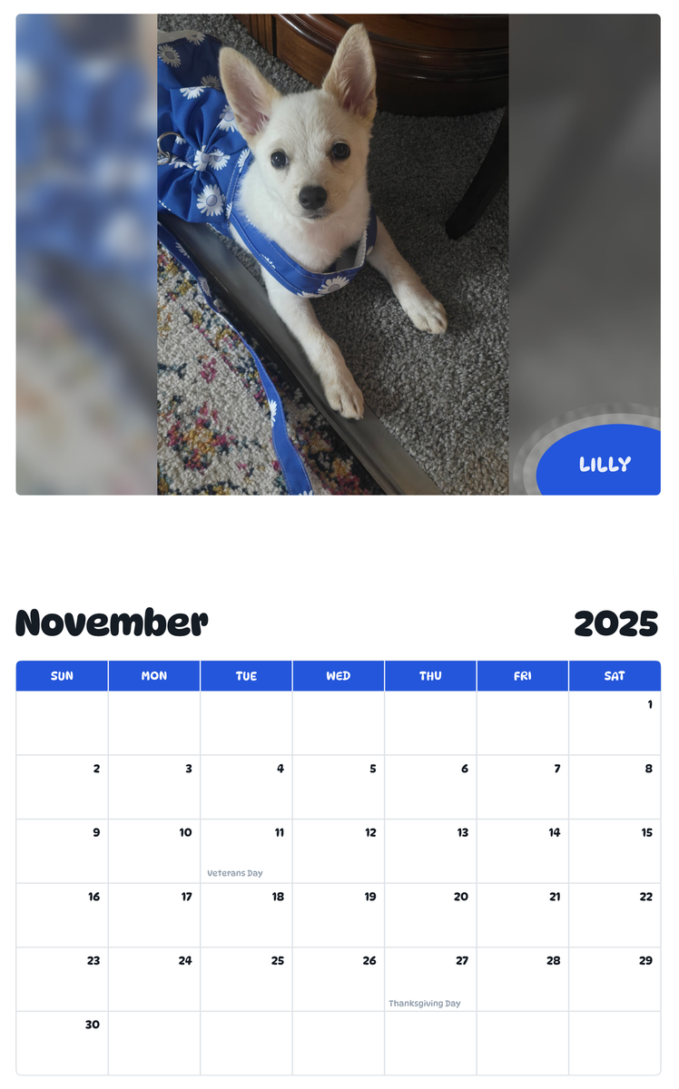 July 2025 - June 2026 Lilly - Pawidols Pet Calendar