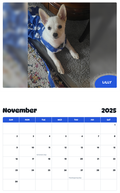 July 2025 - June 2026 Lilly - Pawidols Pet Calendar