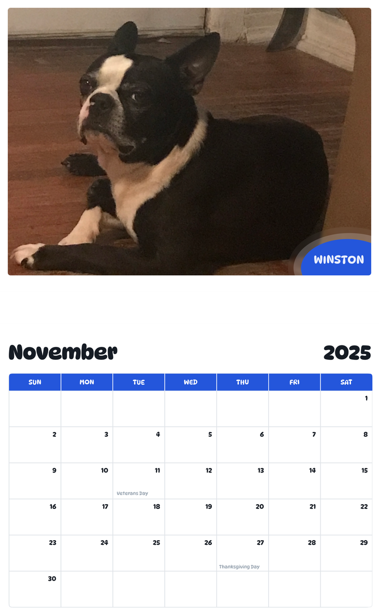 July 2025 - June 2026 Winston - Pawidols Pet Calendar