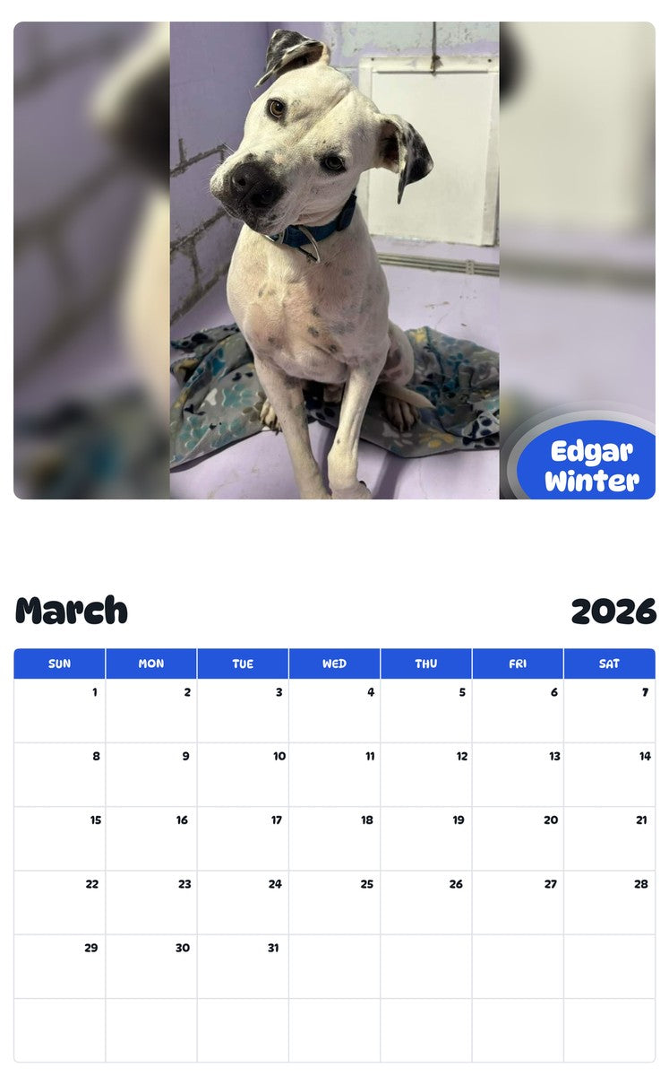 November 2025 - October 2026 Edgar Winter - Pawidols Pet Calendar