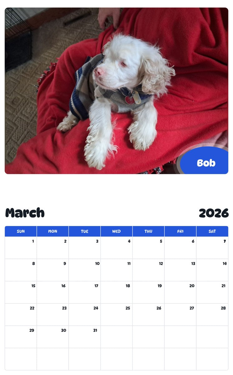 November 2025 - October 2026 Bob - Pawidols Pet Calendar
