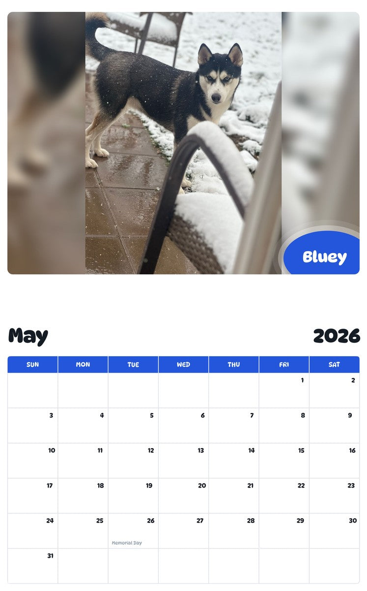 2026 - 2027 Bluey - Pawidols Pet Calendar