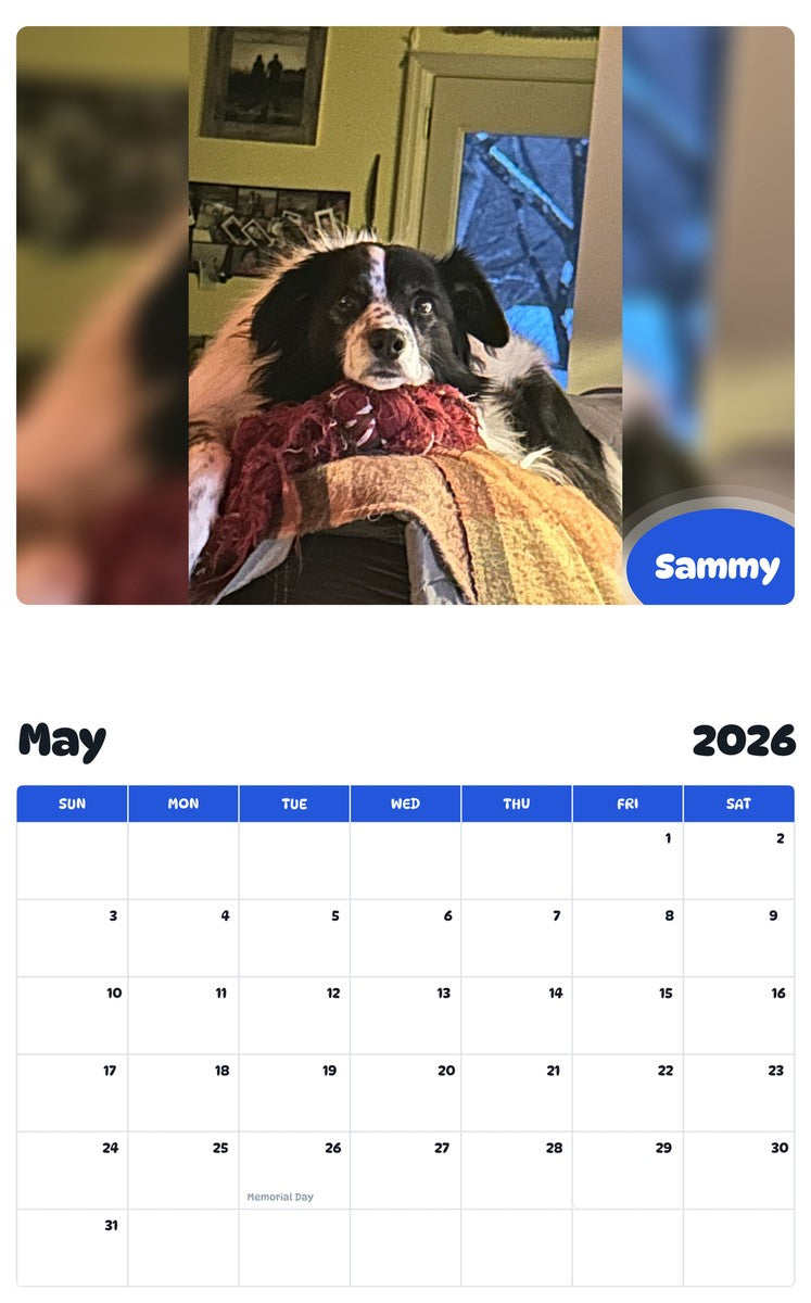2026 - 2027 Sammy - Pawidols Pet Calendar