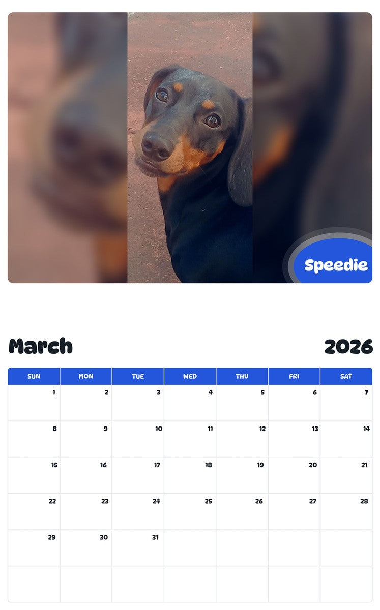 November 2025 - October 2026 Speedie - Pawidols Pet Calendar