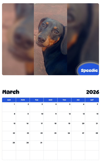 November 2025 - October 2026 Speedie - Pawidols Pet Calendar