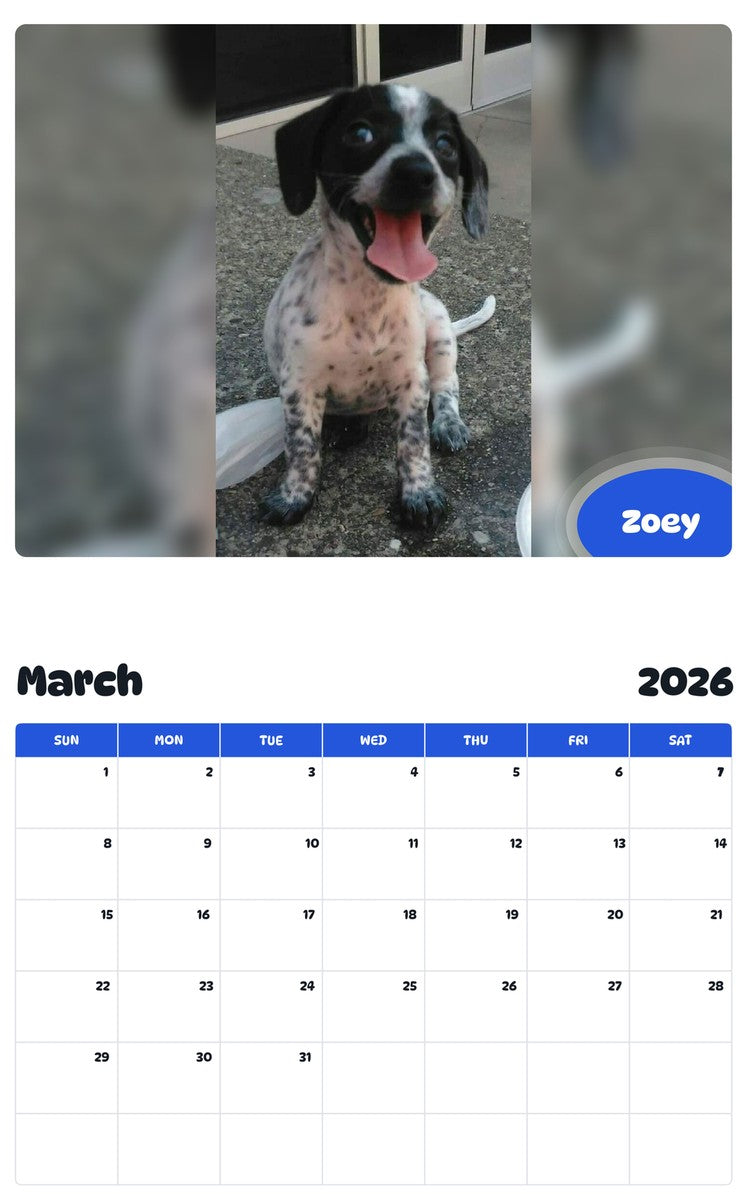 November 2025 - October 2026 Zoey - Pawidols Pet Calendar