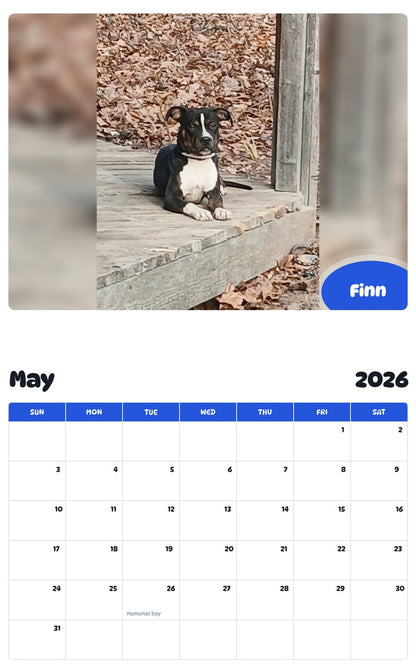 2026 - 2027 Finn - Pawidols Pet Calendar