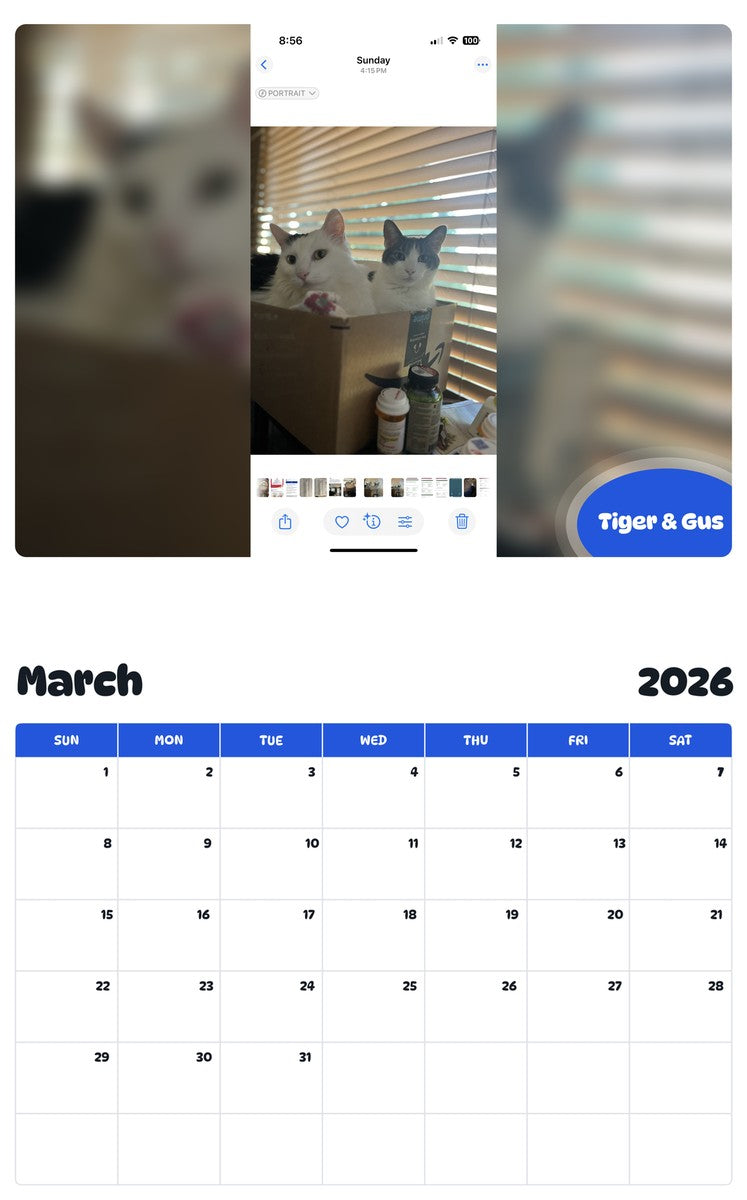 November 2025 - October 2026 Tiger & Gus - Pawidols Pet Calendar