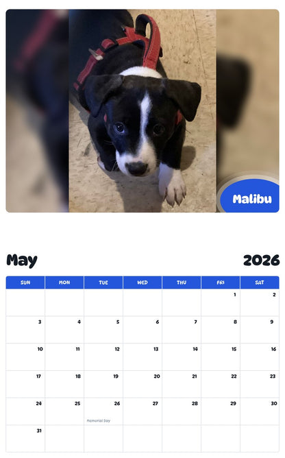 2026 - 2027 Malibu - Pawidols Pet Calendar