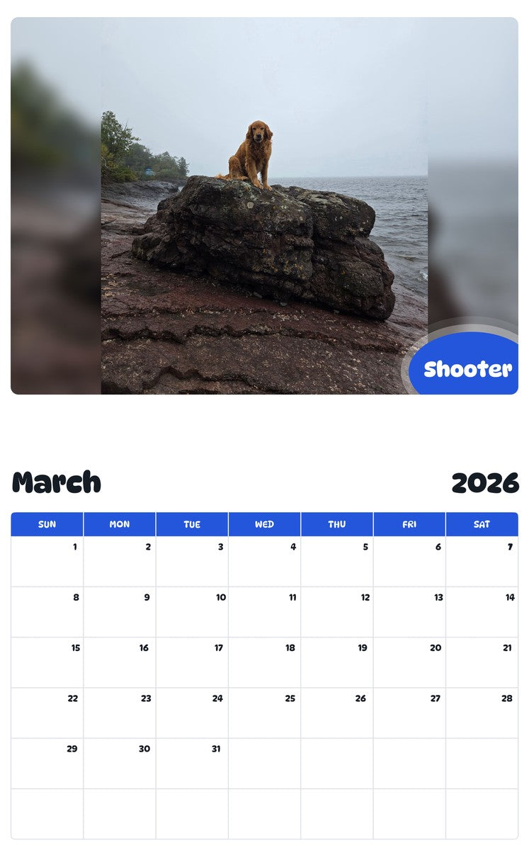 November 2025 - October 2026 Shooter - Pawidols Pet Calendar
