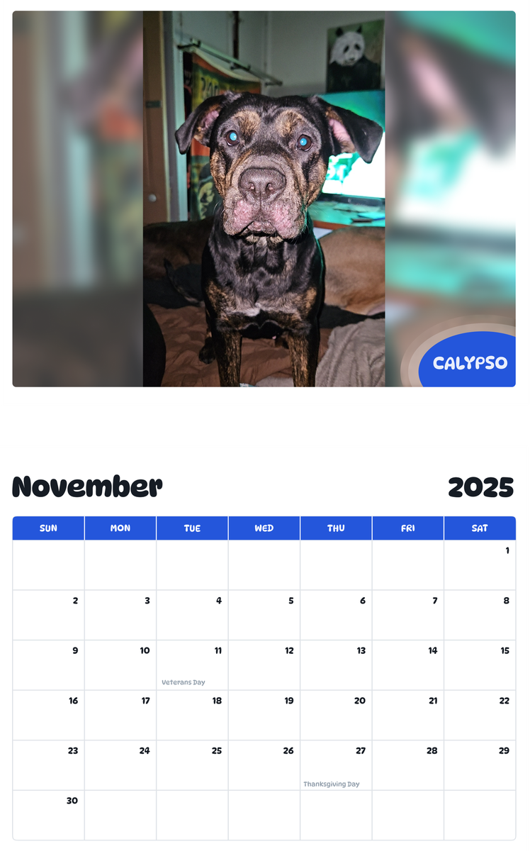 July 2025 - June 2026 Calypso - Pawidols Pet Calendar