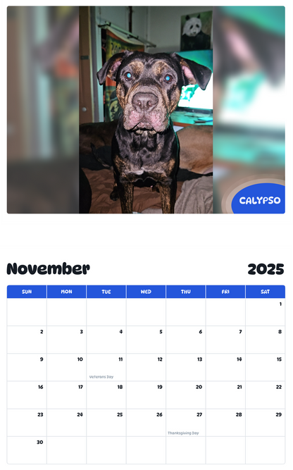 July 2025 - June 2026 Calypso - Pawidols Pet Calendar
