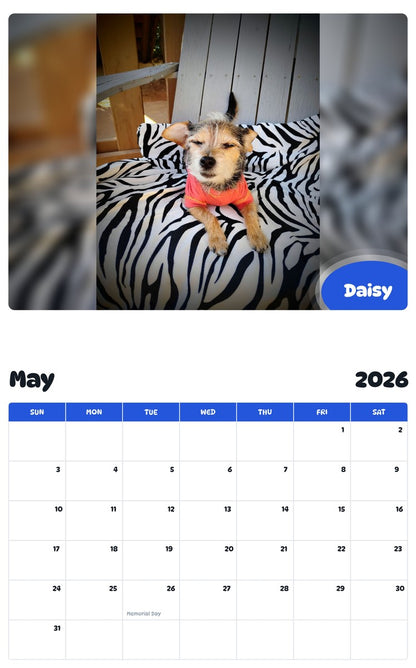 2026 - 2027 Daisy - Pawidols Pet Calendar