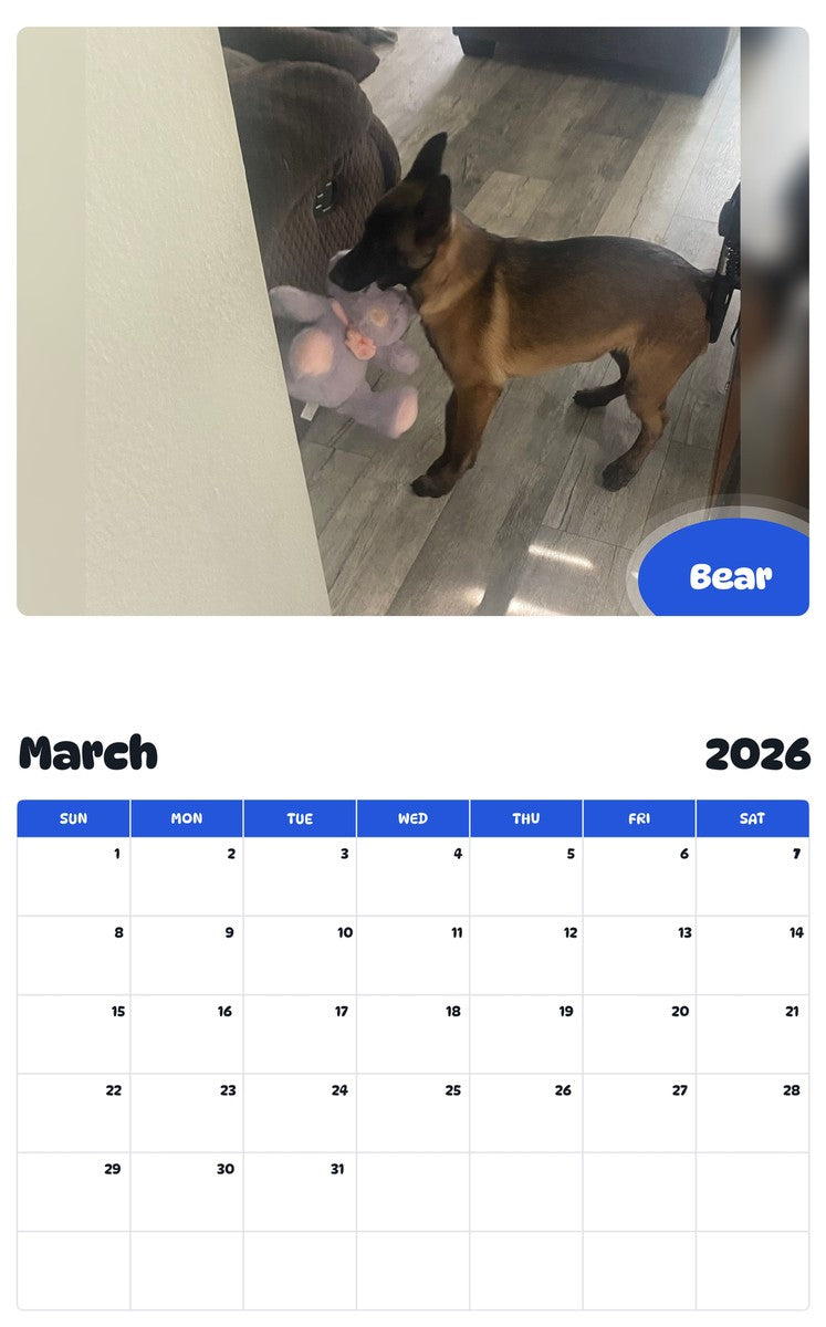 November 2025 - October 2026 Bear - Pawidols Pet Calendar