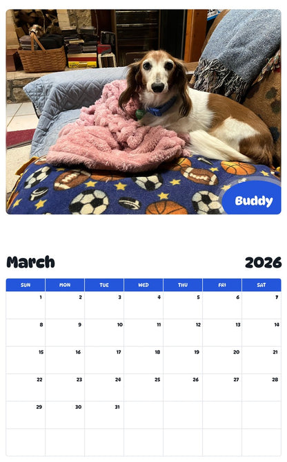 November 2025 - October 2026 Buddy - Pawidols Pet Calendar