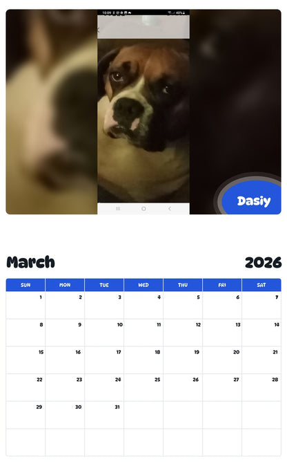 November 2025 - October 2026 Dasiy - Pawidols Pet Calendar