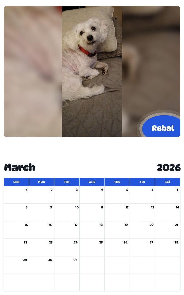 November 2025 - October 2026 Rebal - Pawidols Pet Calendar