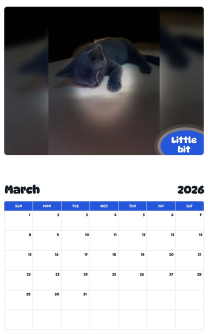 November 2025 - October 2026 Little bit - Pawidols Pet Calendar