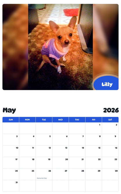 2026 - 2027 Lilly - Pawidols Pet Calendar