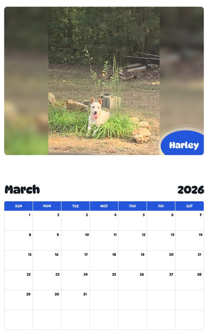 November 2025 - October 2026 Harley - Pawidols Pet Calendar
