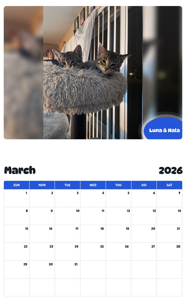 November 2025 - October 2026 Luna & Nala - Pawidols Pet Calendar