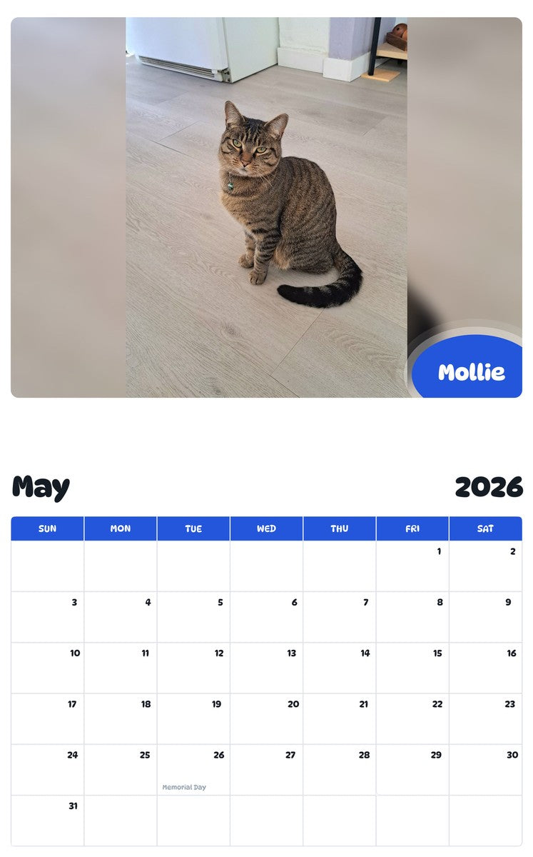 2026 - 2027 Mollie - Pawidols Pet Calendar