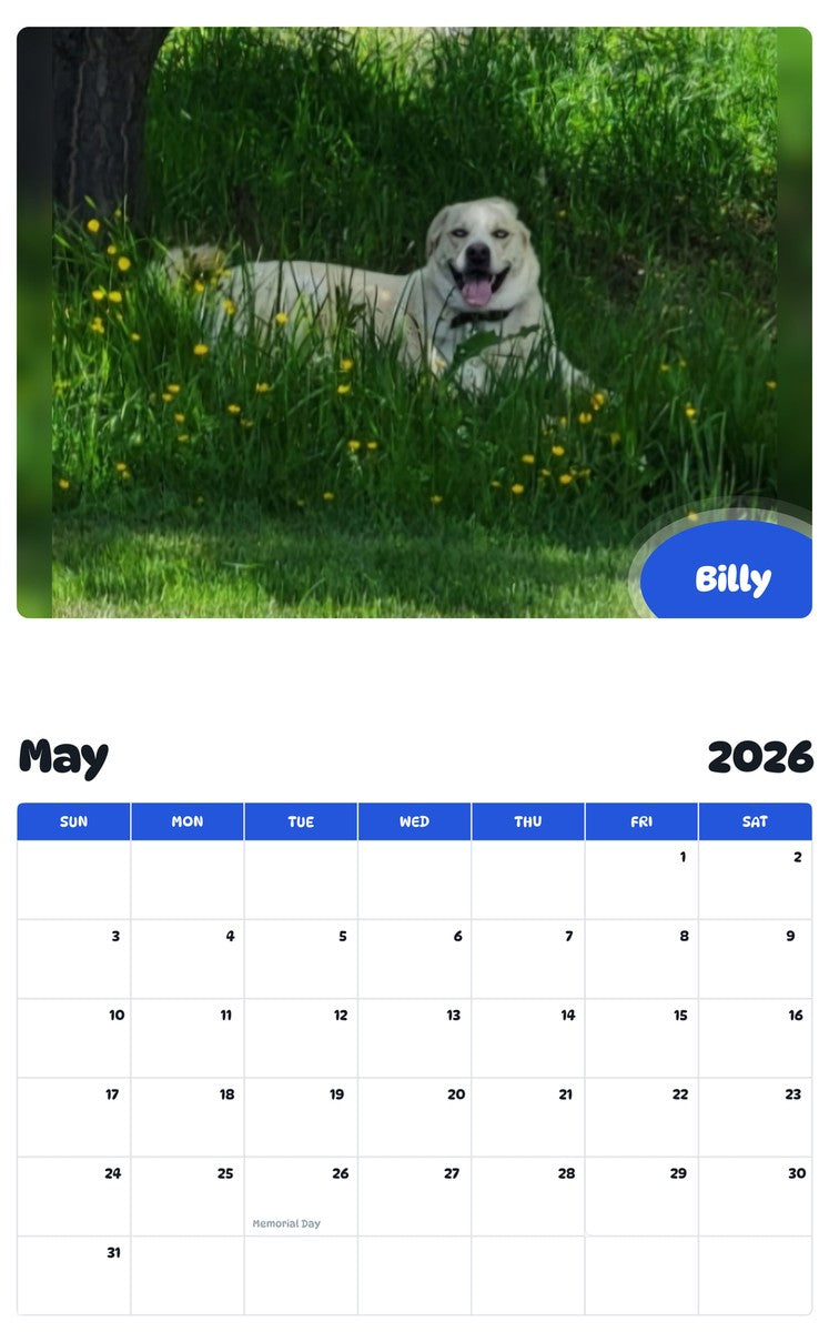 2026 - 2027 Billy - Pawidols Pet Calendar