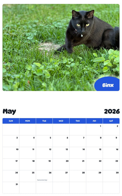 2026 - 2027 Binx - Pawidols Pet Calendar