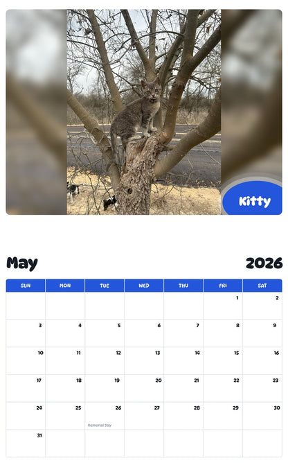 2026 - 2027 Kitty - Pawidols Pet Calendar