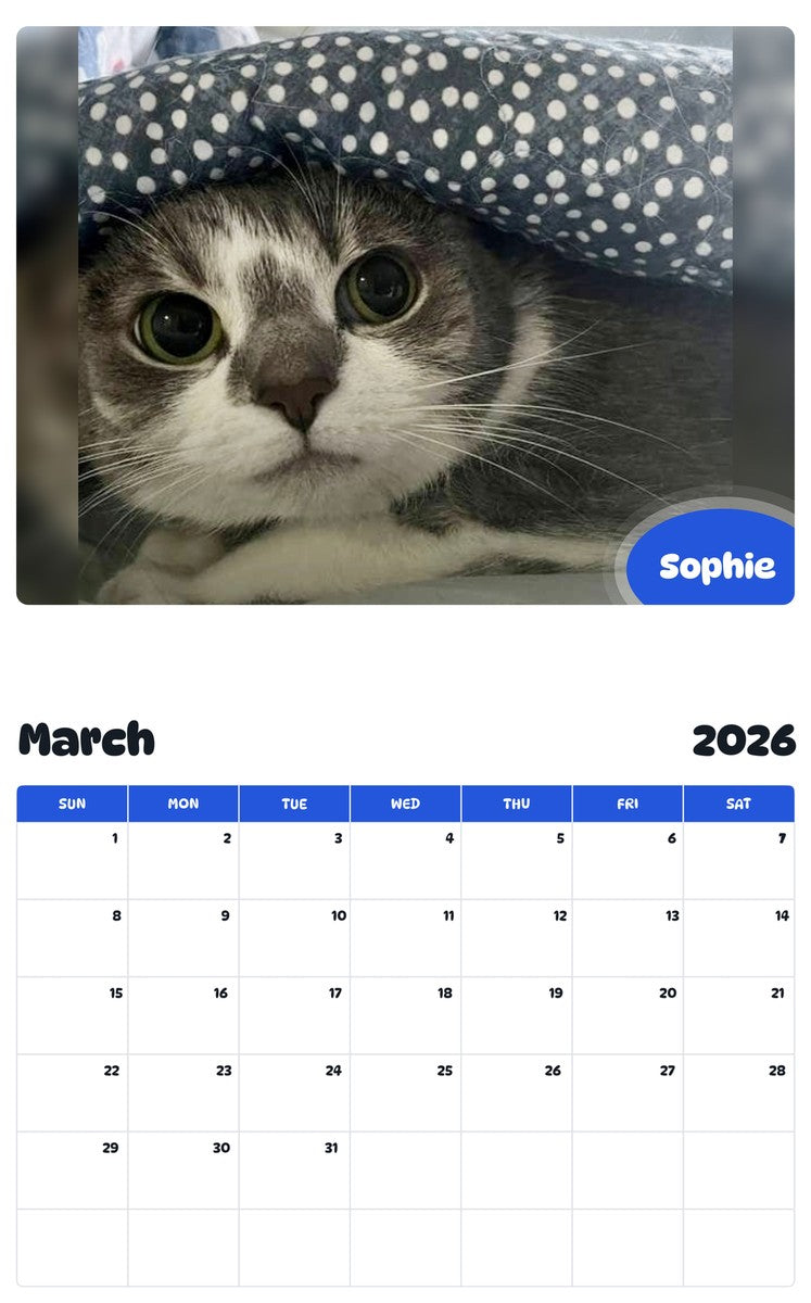November 2025 - October 2026 Sophie - Pawidols Pet Calendar