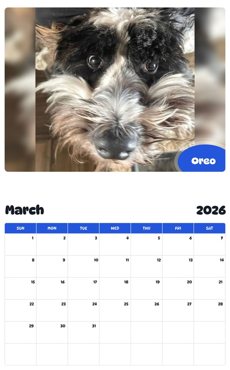 November 2025 - October 2026 Oreo - Pawidols Pet Calendar