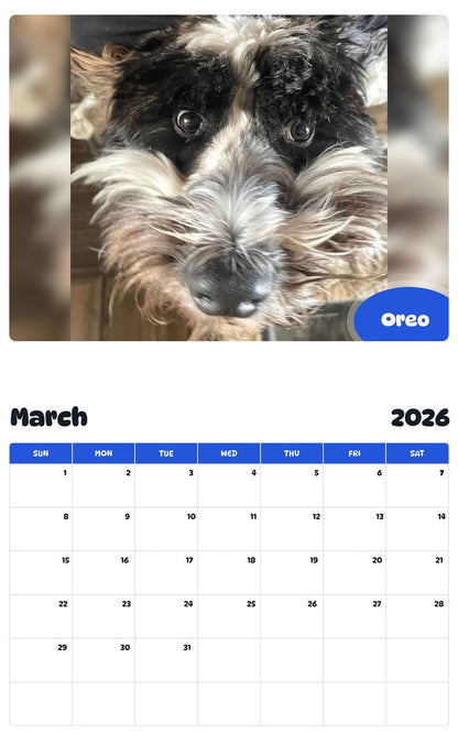 November 2025 - October 2026 Oreo - Pawidols Pet Calendar