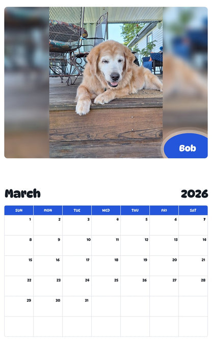 November 2025 - October 2026 Bob - Pawidols Pet Calendar