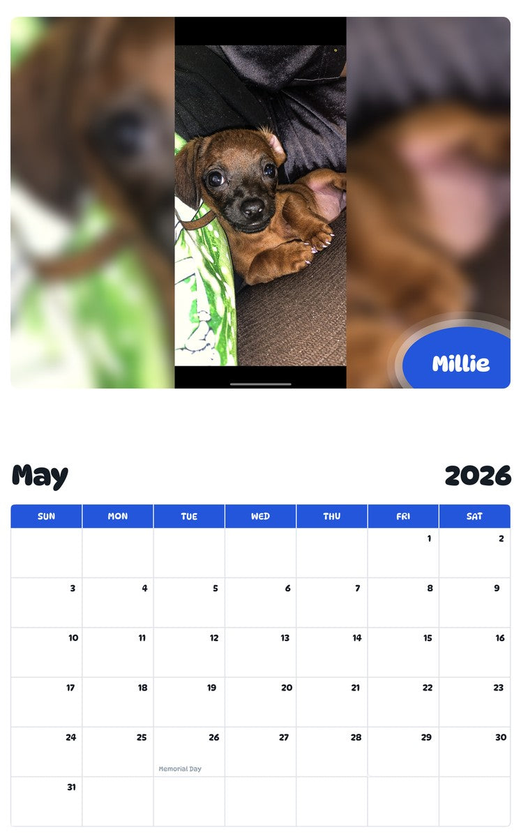 2026 - 2027 Millie - Pawidols Pet Calendar