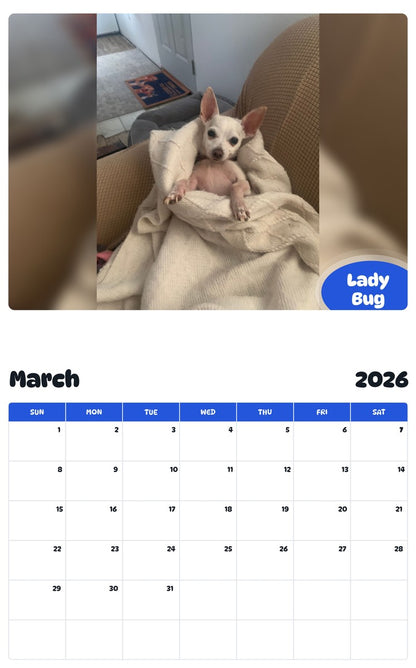 November 2025 - October 2026 Lady Bug - Pawidols Pet Calendar
