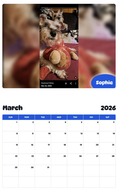 November 2025 - October 2026 Sophie - Pawidols Pet Calendar