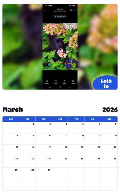 November 2025 - October 2026 Lola lu - Pawidols Pet Calendar